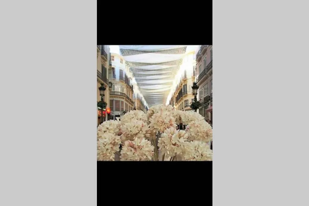 Soho10 San Lorenzo Apartment Malaga